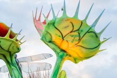 Foto's gondelvaart 2024